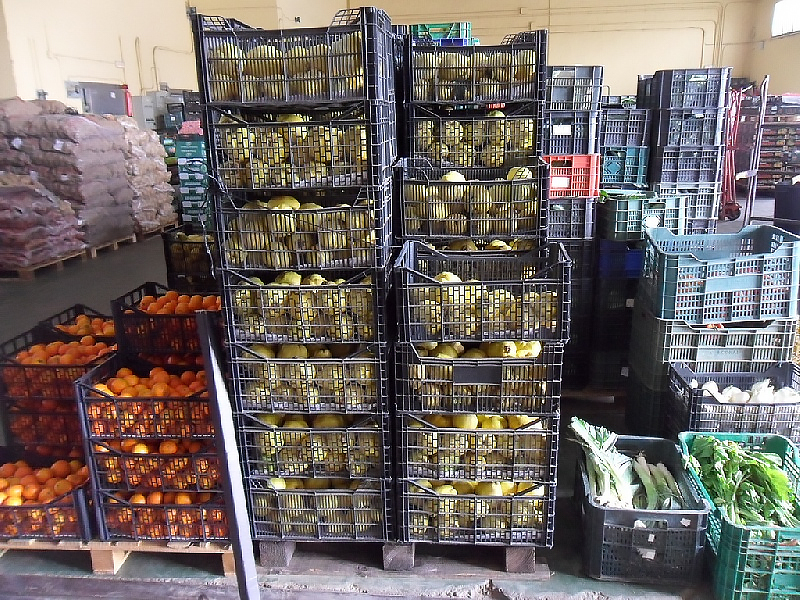 Inicio Frutas El Mutilao Almacen y